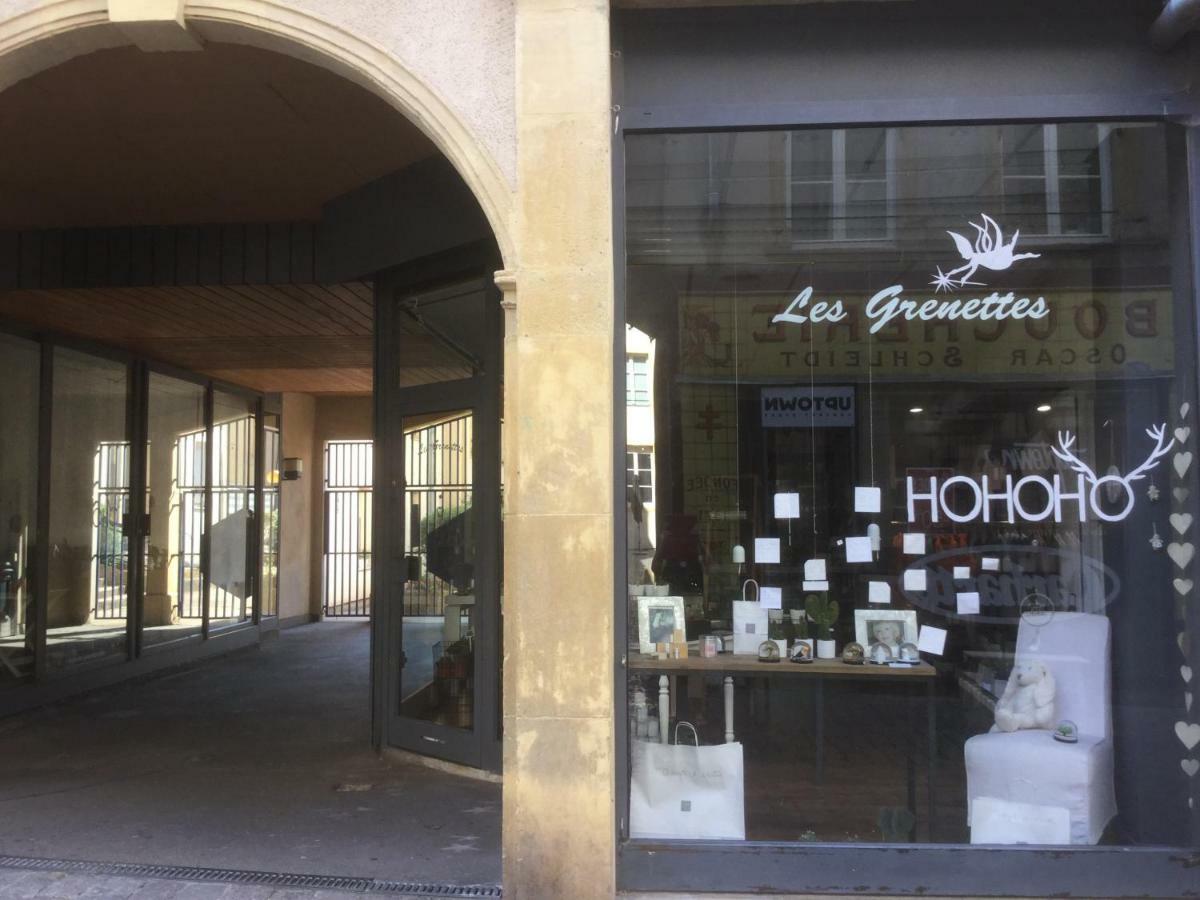 Les Grenettes2 Apartment Metz Exterior photo